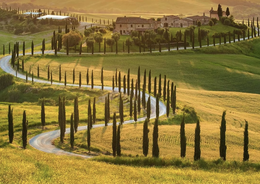 Italian wine Drinkrituals